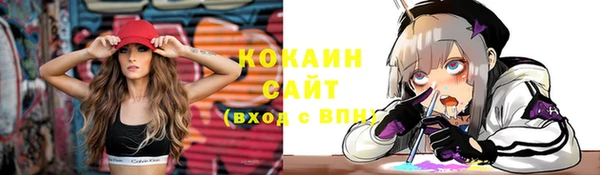соль ск Алзамай
