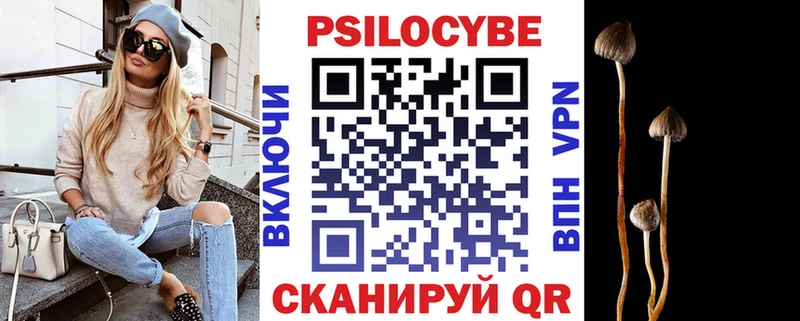 Галлюциногенные грибы Cubensis Аргун