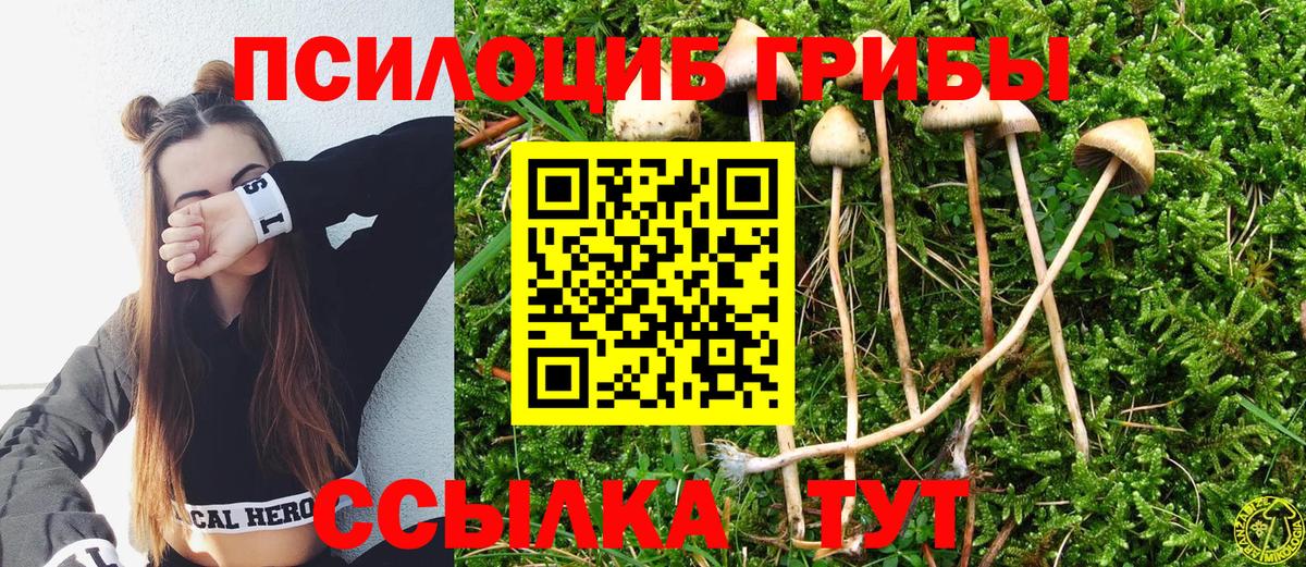 Галлюциногенные грибы ЛСД Аргун
