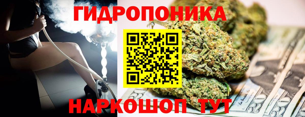 Аргун  Канабис AK-47  Канабис VHQ  Вход с VPN  Шишки марихуана THC 21% 